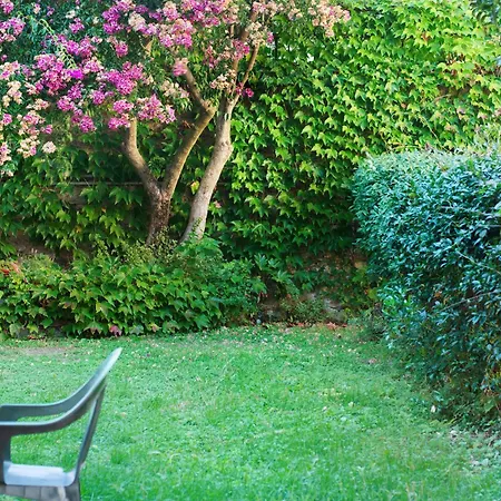 Paradise - Napoleone * Levanto