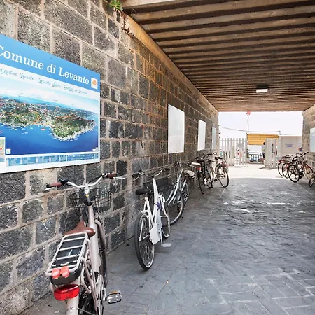 Paradise - Napoleone