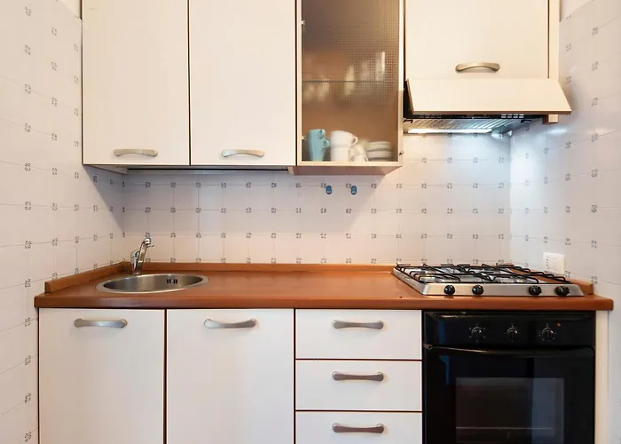 Paradise - Napoleone 레반토