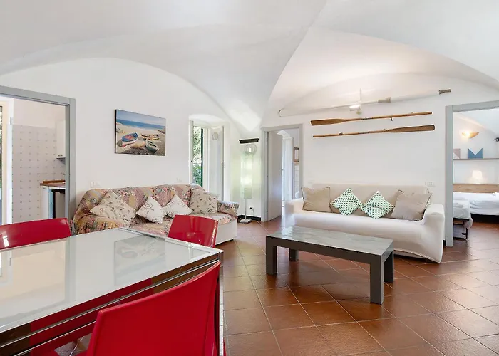 Paradise - Napoleone *