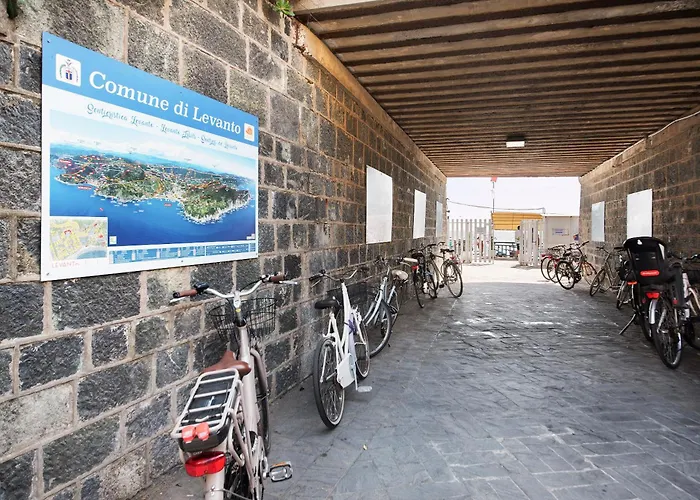 Paradise - Napoleone