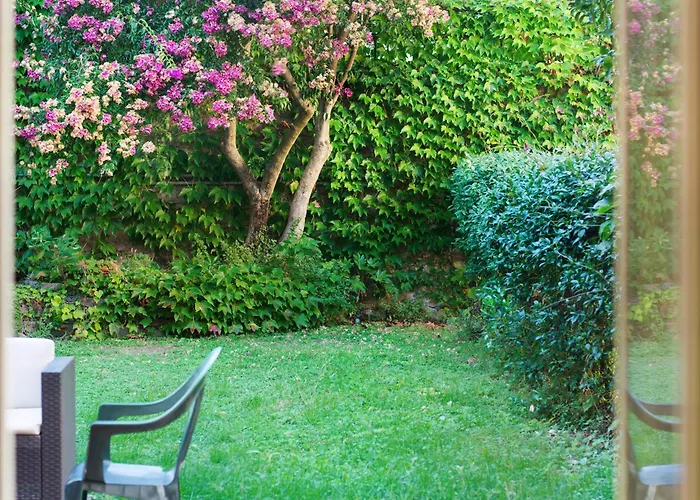 Paradise - Napoleone * ليفانتو